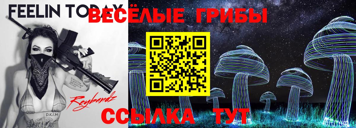 Алексеевка  Псилоцибиновые грибы ЛСД  цена наркотик  Псилоцибиновые грибы MAGIC MUSHROOMS  Вход с VPN 